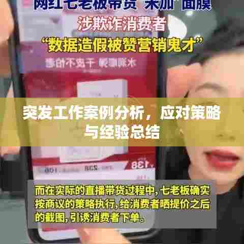 突发工作案例分析，应对策略与经验总结