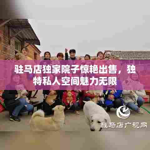 驻马店独家院子惊艳出售,独特私人空间魅力无限