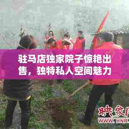 驻马店独家院子惊艳出售,独特私人空间魅力无限