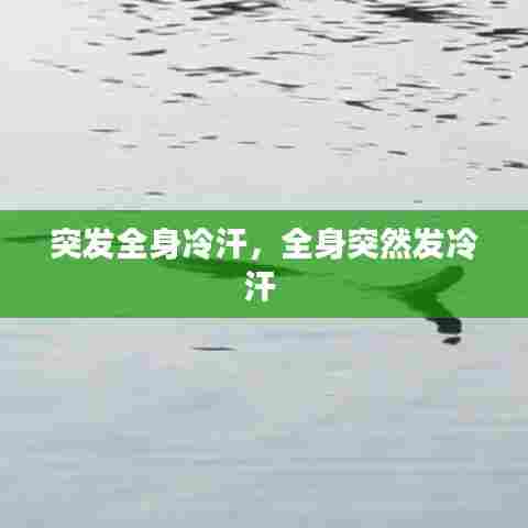 突发全身冷汗，全身突然发冷汗 