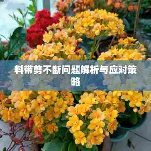 料带剪不断问题解析与应对策略