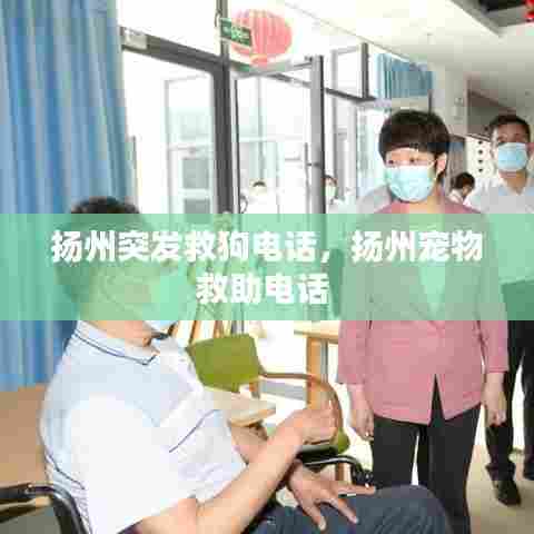 扬州突发救狗电话，扬州宠物救助电话 