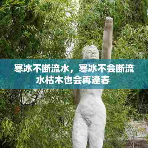 寒冰不断流水，寒冰不会断流水枯木也会再逢春 