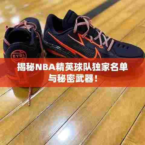 揭秘NBA精英球队独家名单与秘密武器！