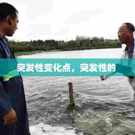 突发性变化点，突发性的 