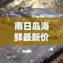 南日岛海鲜最新价格查询表，让你一清二楚！