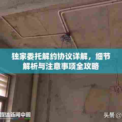 独家委托解约协议详解，细节解析与注意事项全攻略