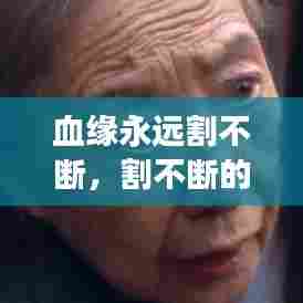 血缘永远割不断，割不断的血缘亲情 