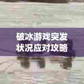 破冰游戏突发状况应对攻略，轻松应对突发情况，提升游戏体验！