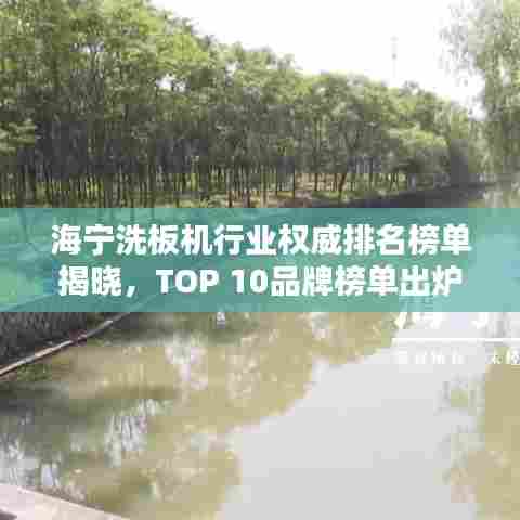 海宁洗板机行业权威排名榜单揭晓，TOP 10品牌榜单出炉！