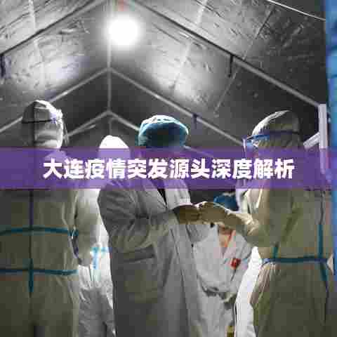 大连疫情突发源头深度解析