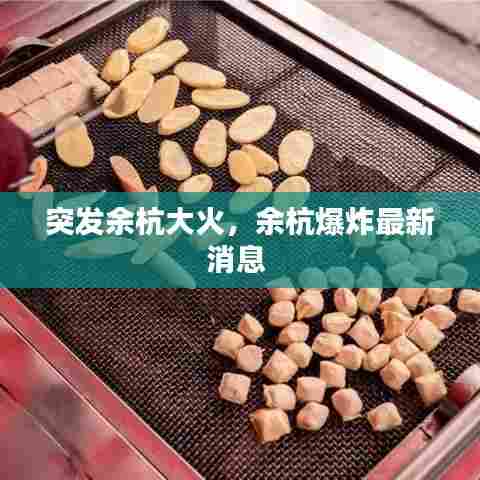 突发余杭大火，余杭爆炸最新消息 