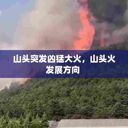 山头突发凶猛大火，山头火发展方向 