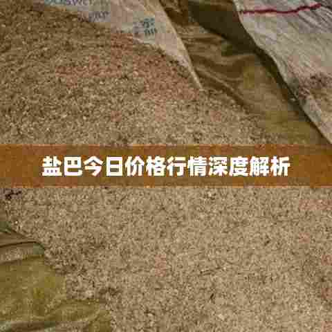 盐巴今日价格行情深度解析