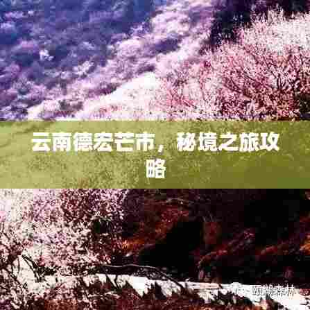 云南德宏芒市，秘境之旅攻略