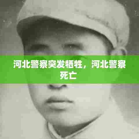 河北警察突发牺牲，河北警察死亡 
