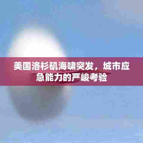 美国洛杉矶海啸突发，城市应急能力的严峻考验