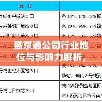 盛京通公司行业地位与影响力解析，揭秘其在行业中的排名及深远影响