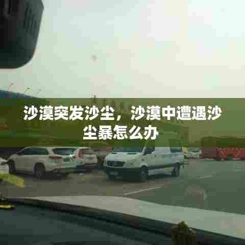 沙漠突发沙尘,沙漠中遭遇沙尘暴怎么办