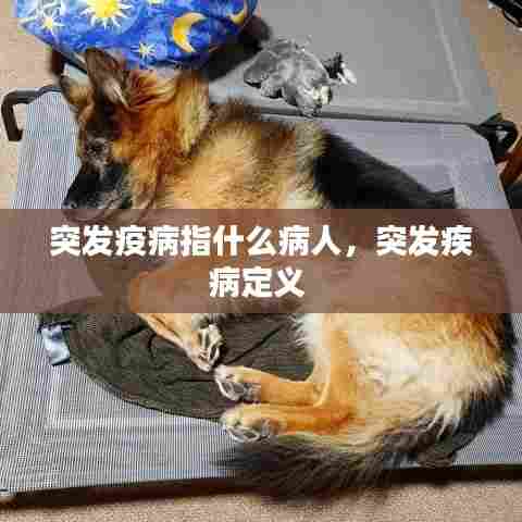突发疫病指什么病人，突发疾病定义 