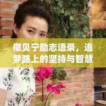 撒贝宁励志语录，追梦路上的坚持与智慧，激发无限潜能！