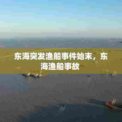 东海突发渔船事件始末，东海渔船事故 