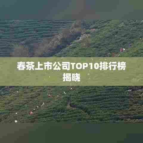 春茶上市公司TOP10排行榜揭晓