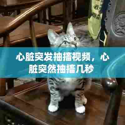 心脏突发抽搐视频，心脏突然抽搐几秒 