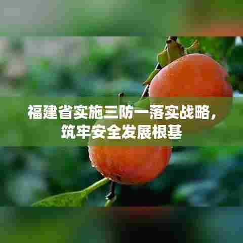 福建省实施三防一落实战略，筑牢安全发展根基