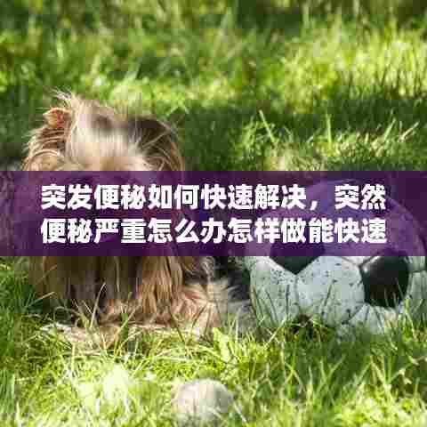 突发便秘如何快速解决，突然便秘严重怎么办怎样做能快速排便 