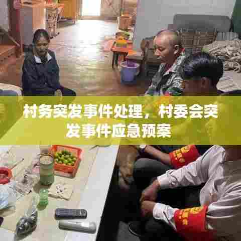 村务突发事件处理，村委会突发事件应急预案 