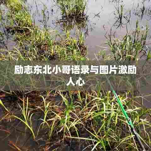 励志东北小哥语录与图片激励人心