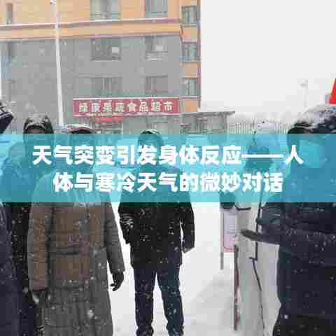 天气突变引发身体反应——人体与寒冷天气的微妙对话