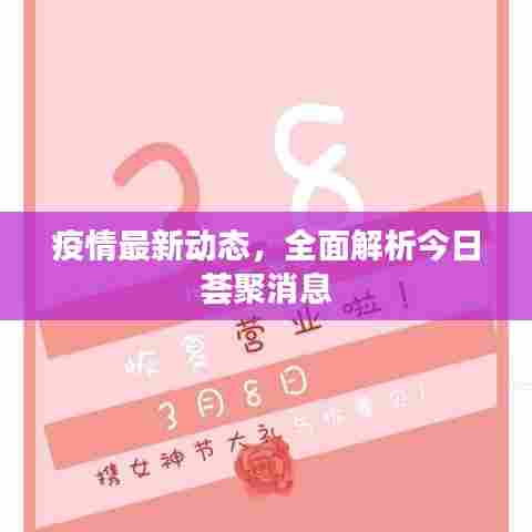 疫情最新动态，全面解析今日荟聚消息