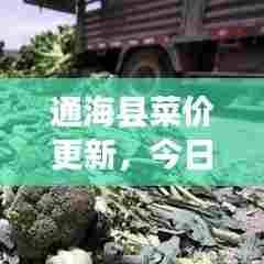 通海县菜价更新，今日市场最新消息速递