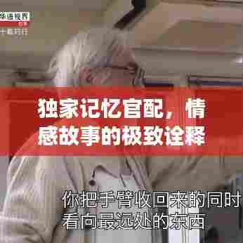 独家记忆官配，情感故事的极致诠释