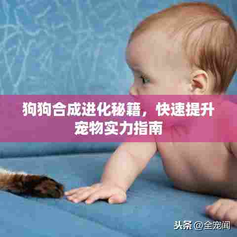 狗狗合成进化秘籍，快速提升宠物实力指南