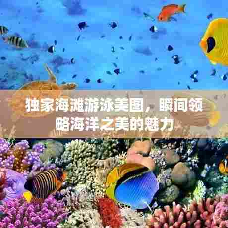 独家海滩游泳美图,瞬间领略海洋之美的魅力