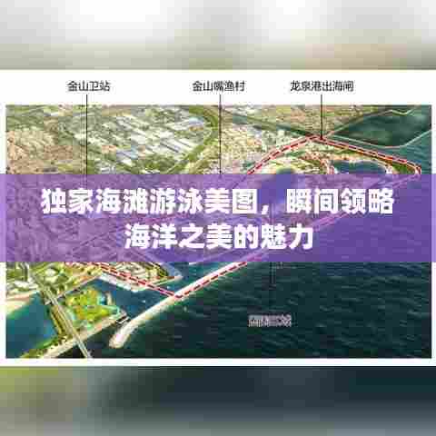 独家海滩游泳美图,瞬间领略海洋之美的魅力