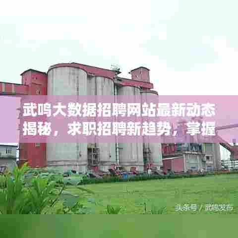 武鸣大数据招聘网站最新动态揭秘，求职招聘新趋势，掌握大数据就业机会！