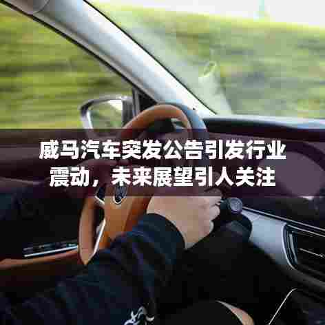 威马汽车突发公告引发行业震动，未来展望引人关注