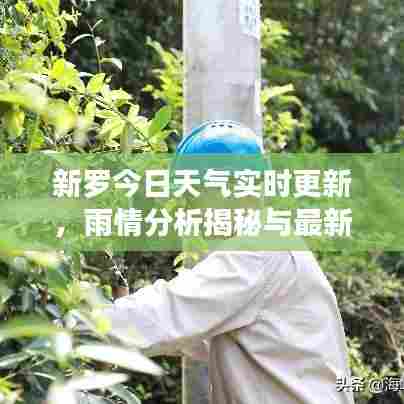 新罗今日天气实时更新，雨情分析揭秘与最新消息速递