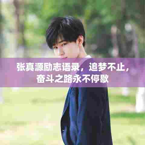 张真源励志语录,追梦不止,奋斗之路永不停歇