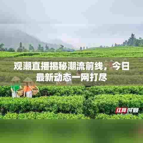 观潮直播揭秘潮流前线，今日最新动态一网打尽