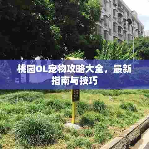 桃园OL宠物攻略大全，最新指南与技巧