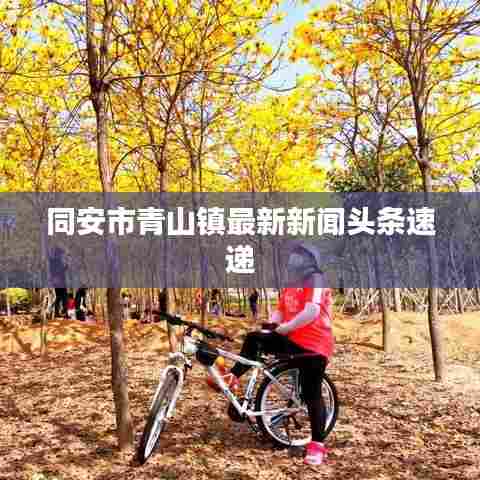 同安市青山镇最新新闻头条速递