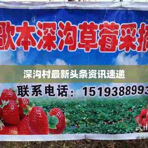 深沟村最新头条资讯速递