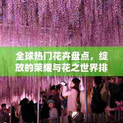 全球热门花卉盘点,绽放的荣耀与花之世界排名
