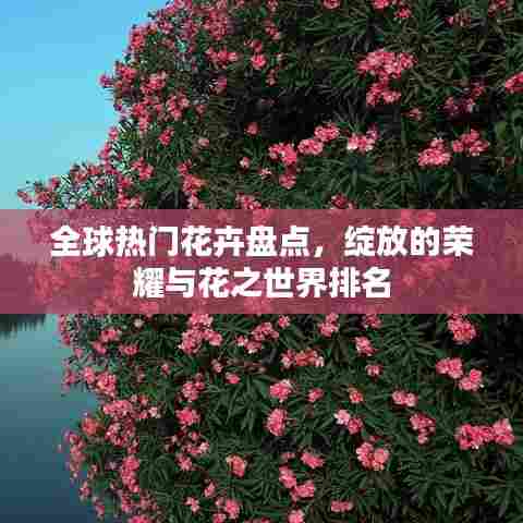 全球热门花卉盘点,绽放的荣耀与花之世界排名