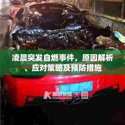 凌晨突发自燃事件，原因解析、应对策略及预防措施